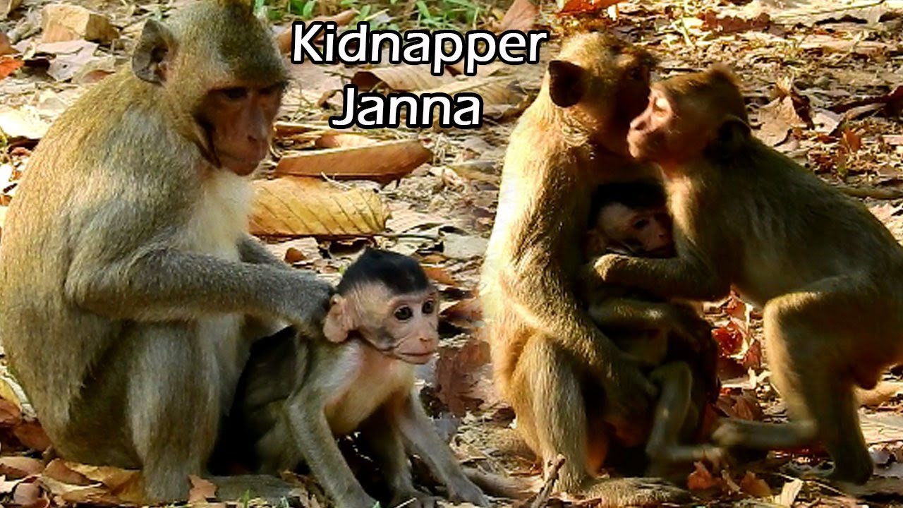 Breaking Heart! Tazana & Janet was kidnapper Janna, Very pity Janna cried scare and calling mom help