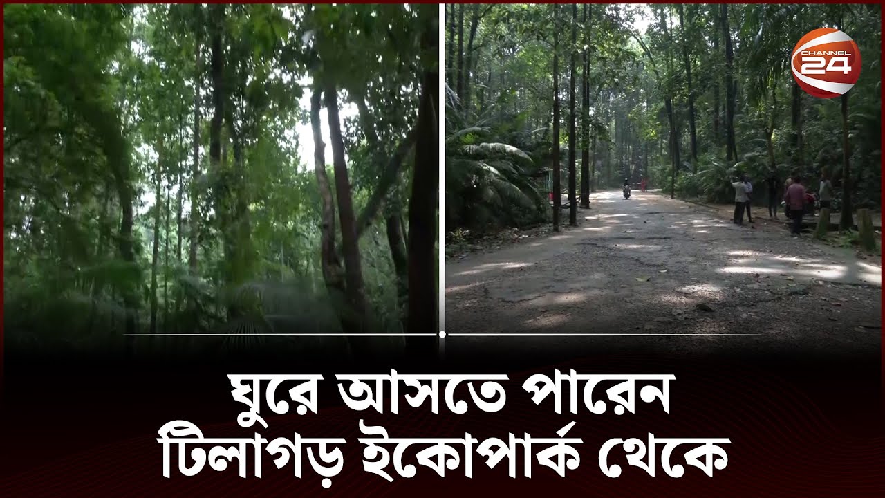 সিলেট গেলে ঘুরে আসতে পারেন টিলাগড় ইকোপার্ক থেকে | Tilagar Eco Park | Sylhet | Channel 24