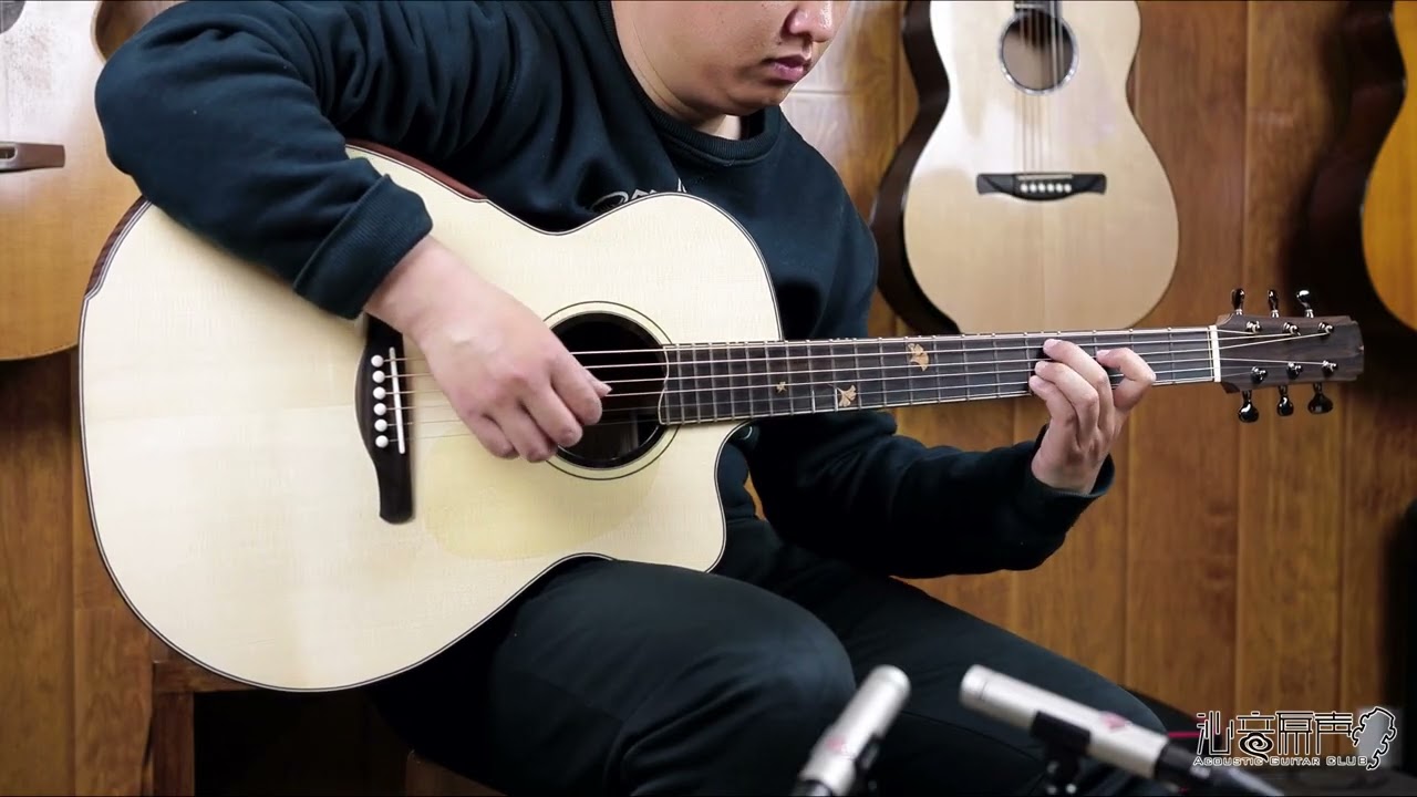 TanGroup guitar F-GAC German spruce Ziricote Acoustic guitar review