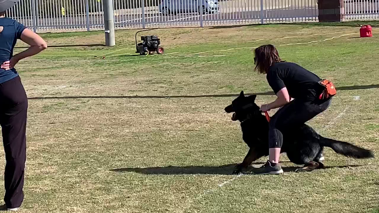 Hemingway's first FastCAT run