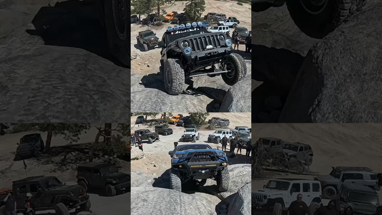 Jeep Gladiator против Toyota Tacoma #trailmilitia #tacoma #gladiator