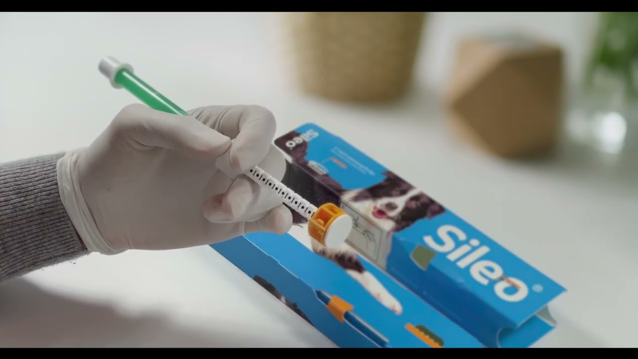 Sileo Dosing Video