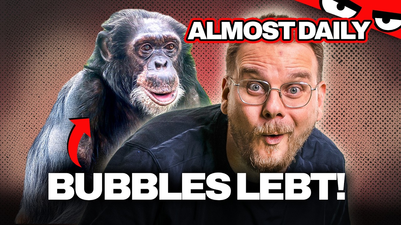BUBBLES LEBT! | Almost  Daily