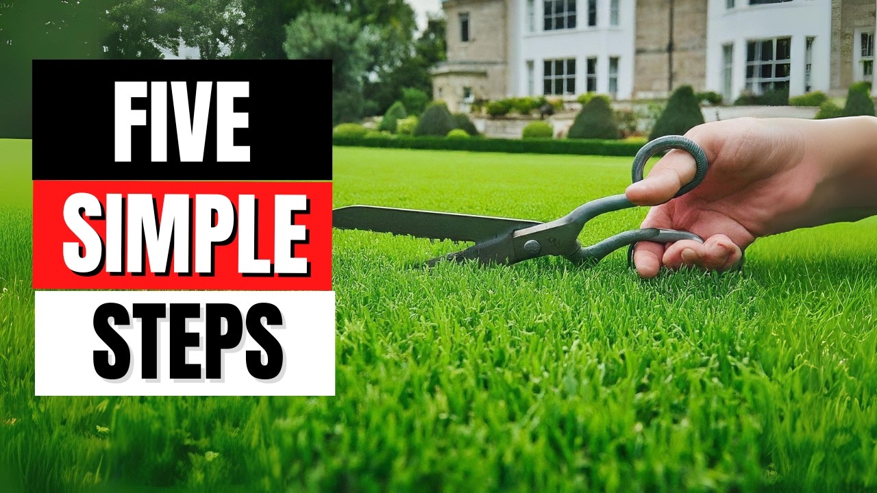 5 Steps to a Beautifully Manicured Lawn