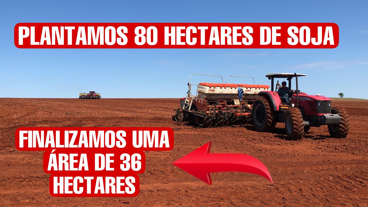 PLANTAMOS 80 HECTARES DE SOJA  | FINALIZAMOS UMA ÁREA DE 36 HECTARES |