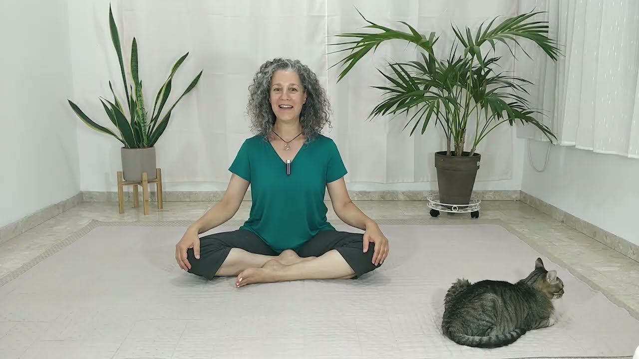 4. Rewiring the Pelvis to find it's ideal position for Meditation