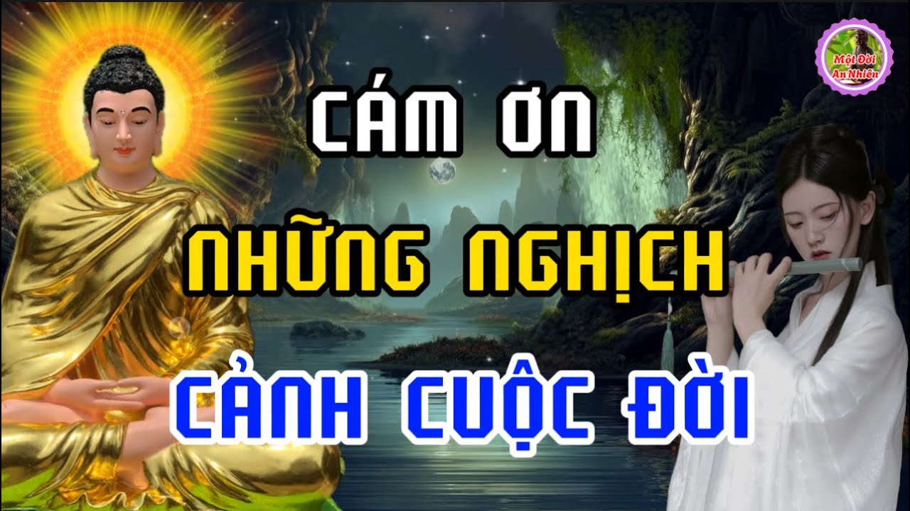 Cám Ơn Những Nghịch Cảnh Cuộc Đời - Vì Nó Đã Giúp Ta Có Thêm Bản Lĩnh Và Mạnh Mẽ -Suy Ngẫm Cuộc Sống