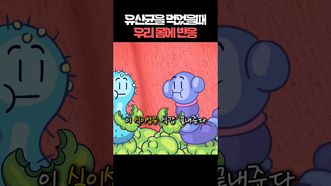 유산균을 먹었을때 우리 몸의 반응