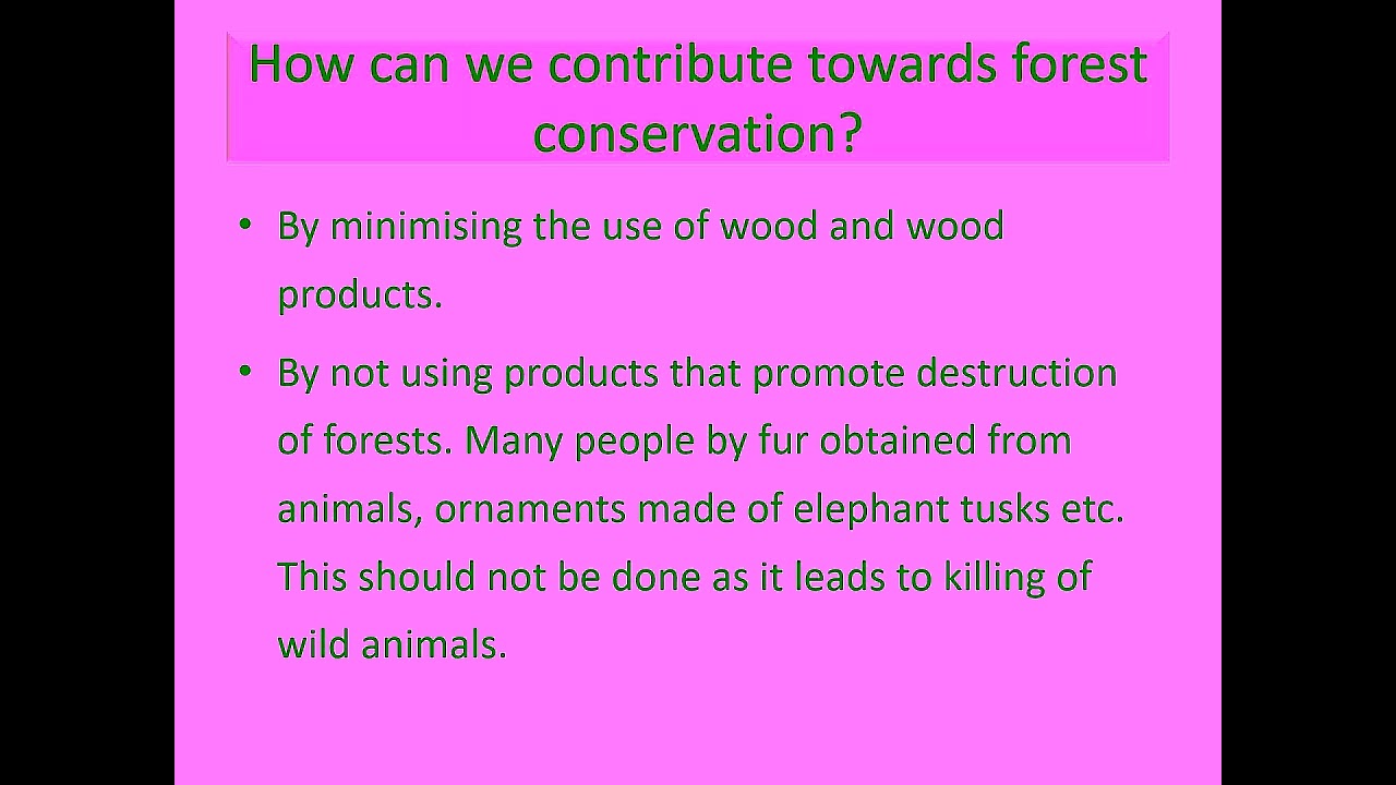 DAV Class 5 Science chapter.......Forests.......all questions and answera