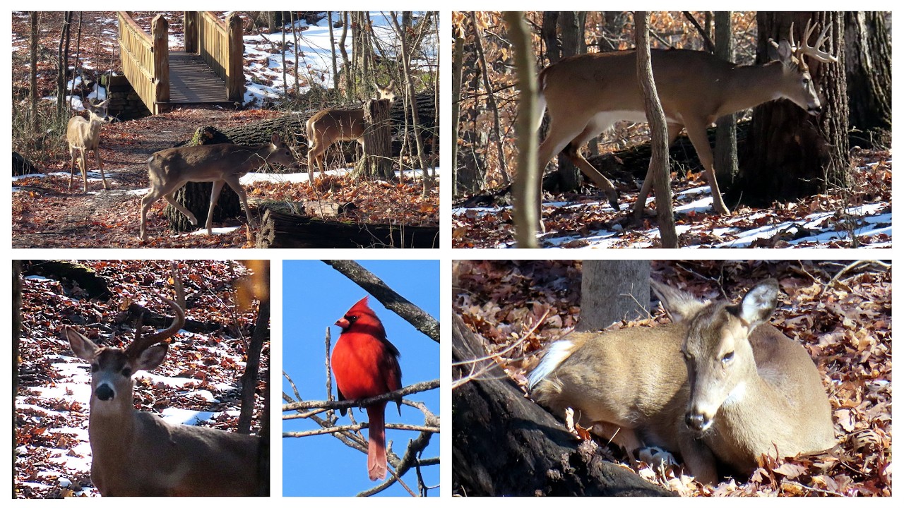 Hiking at Iroquois Park on a beatuiful Wednesday morning, February 11, 2026.