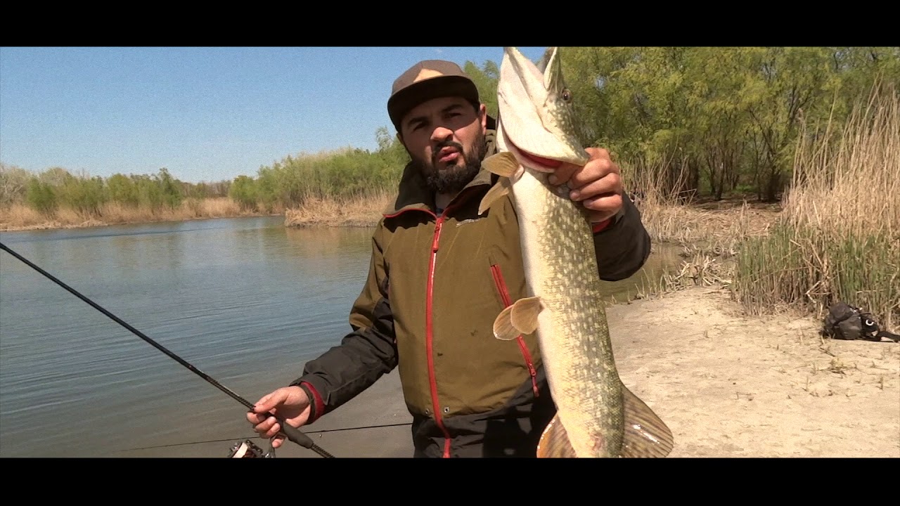 Graphiteleader Finezza NUOVO в деле!!! Fox Tail от AKSENTI собирает крупных ЩУК!!!