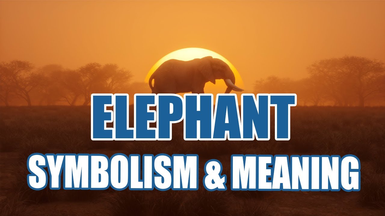 What Does the Elephant Symbolize? Elephant in Dream Meaning - Sign Meaning