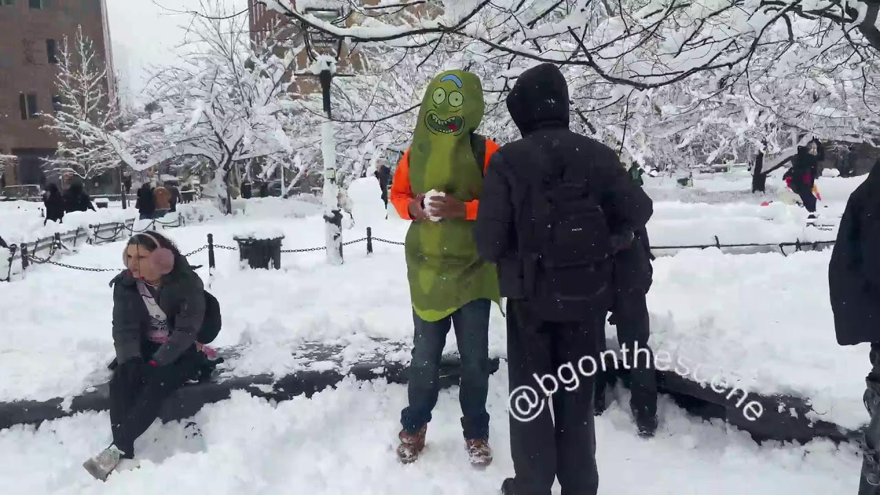 LIVE: Snowball Fight at Washington Square Park in New York City