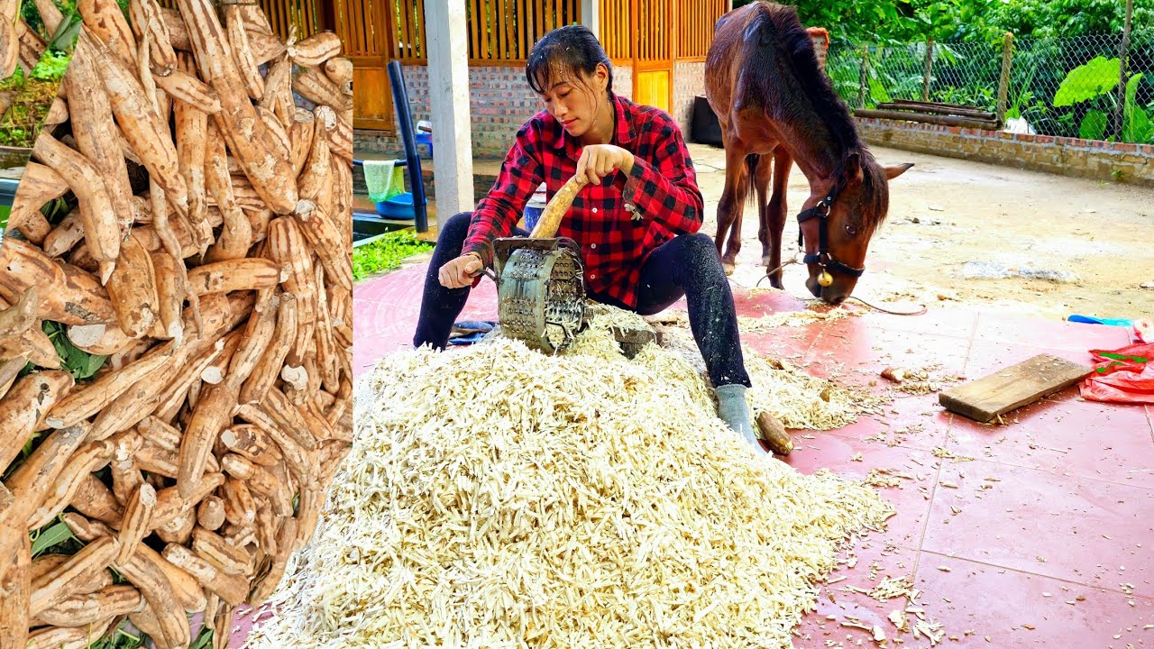 How to preserve cassava on the farm this way | build page at / Ban Thi Diet