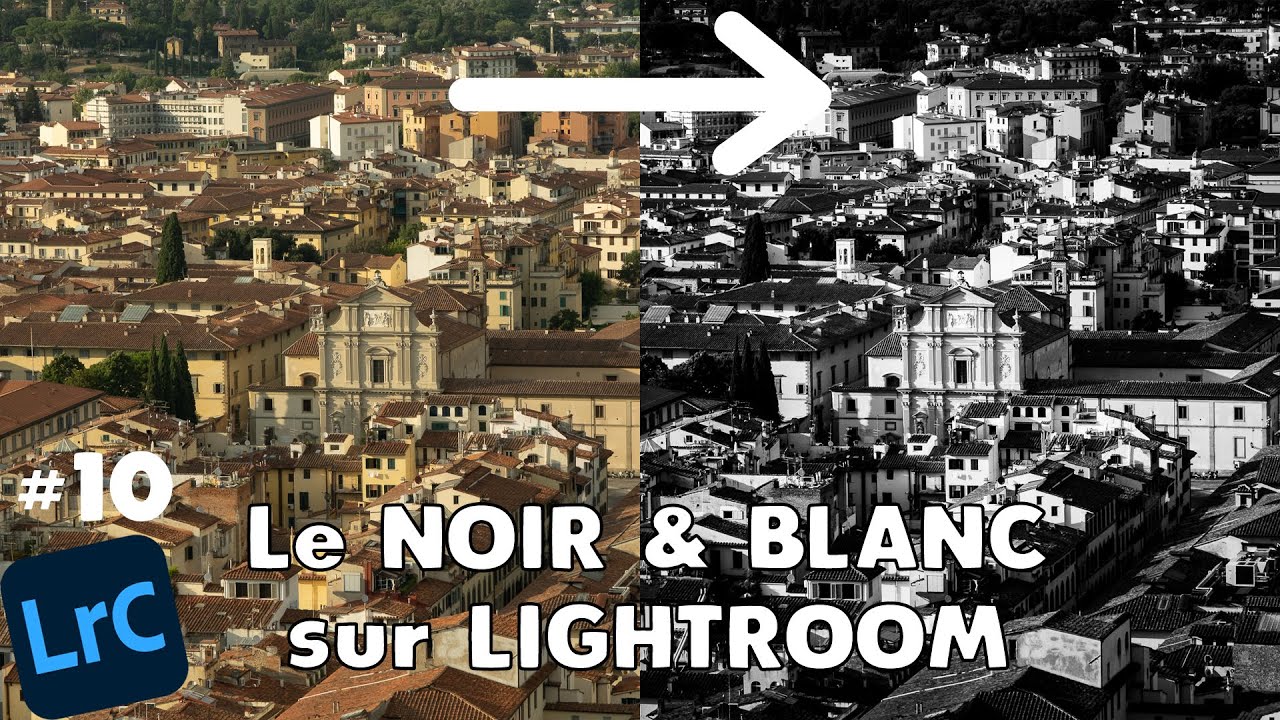 DÉVELOPPER des photos MAGNIFIQUES en NOIR & BLANC I LMCL #10