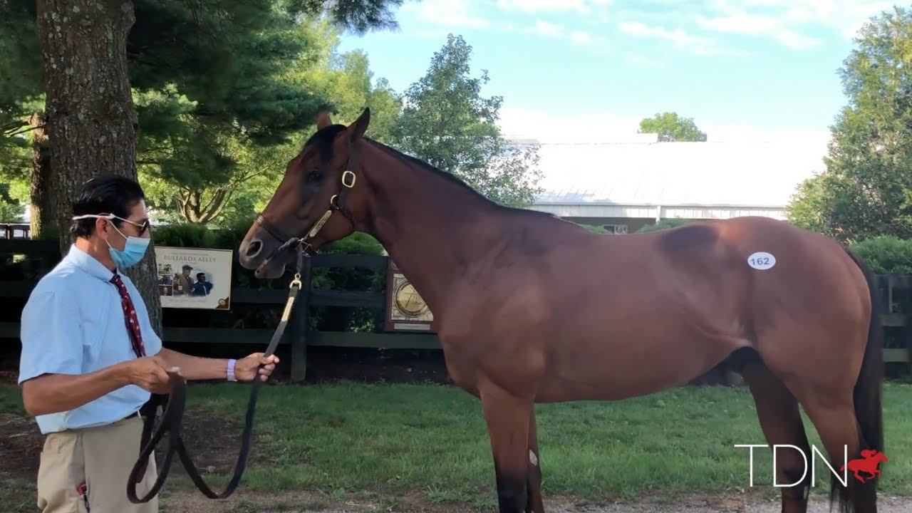 Fasig-Tipton July Sale Preview