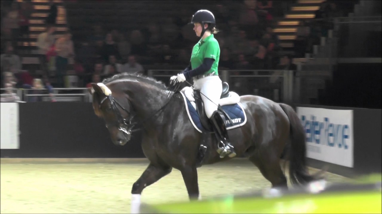 2017.03.19 Live-Training bei Isabell Werth   Lena Backes auf Fioretto Festival