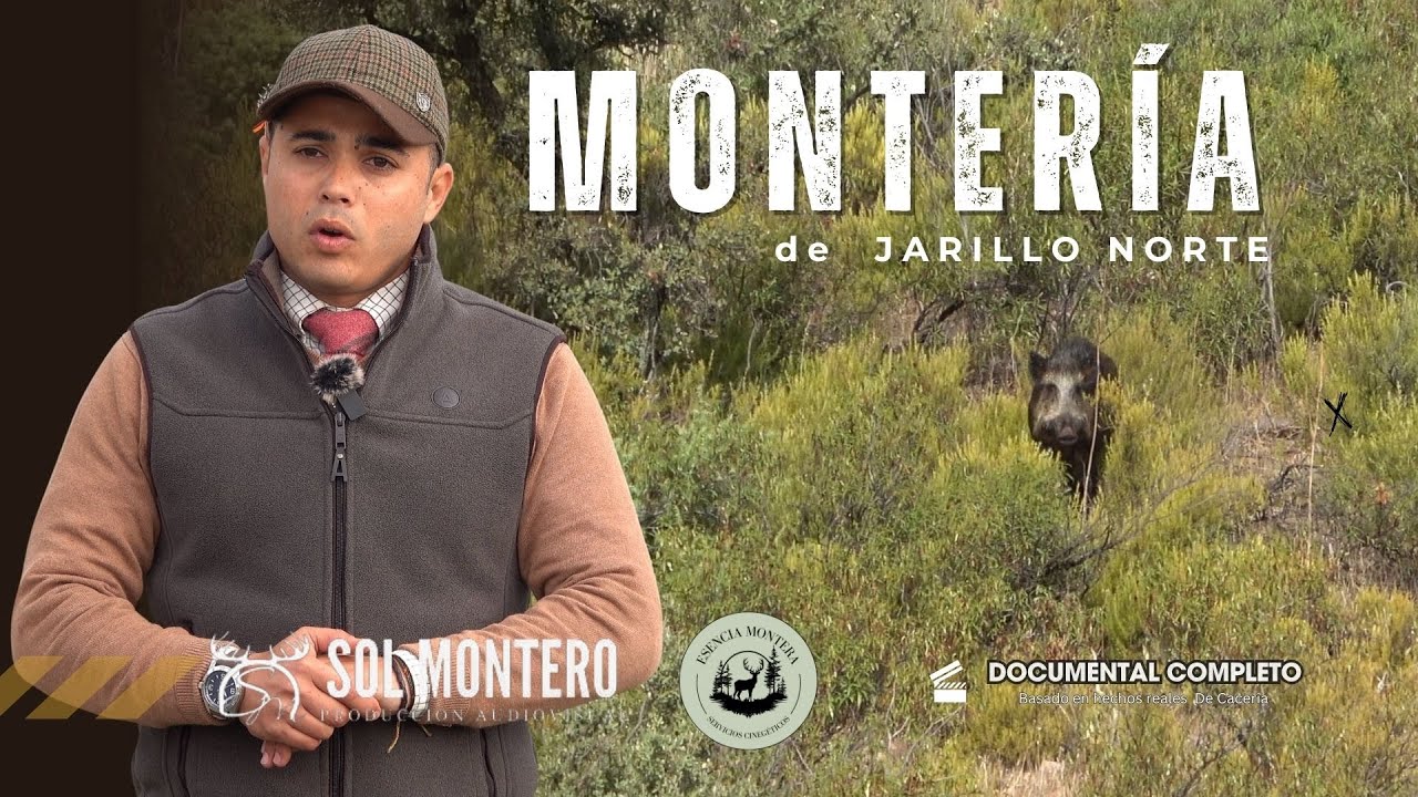MONTERÍA JARRILLO NORTE | Con Esencia Montera, 500 perros batiendo la mancha