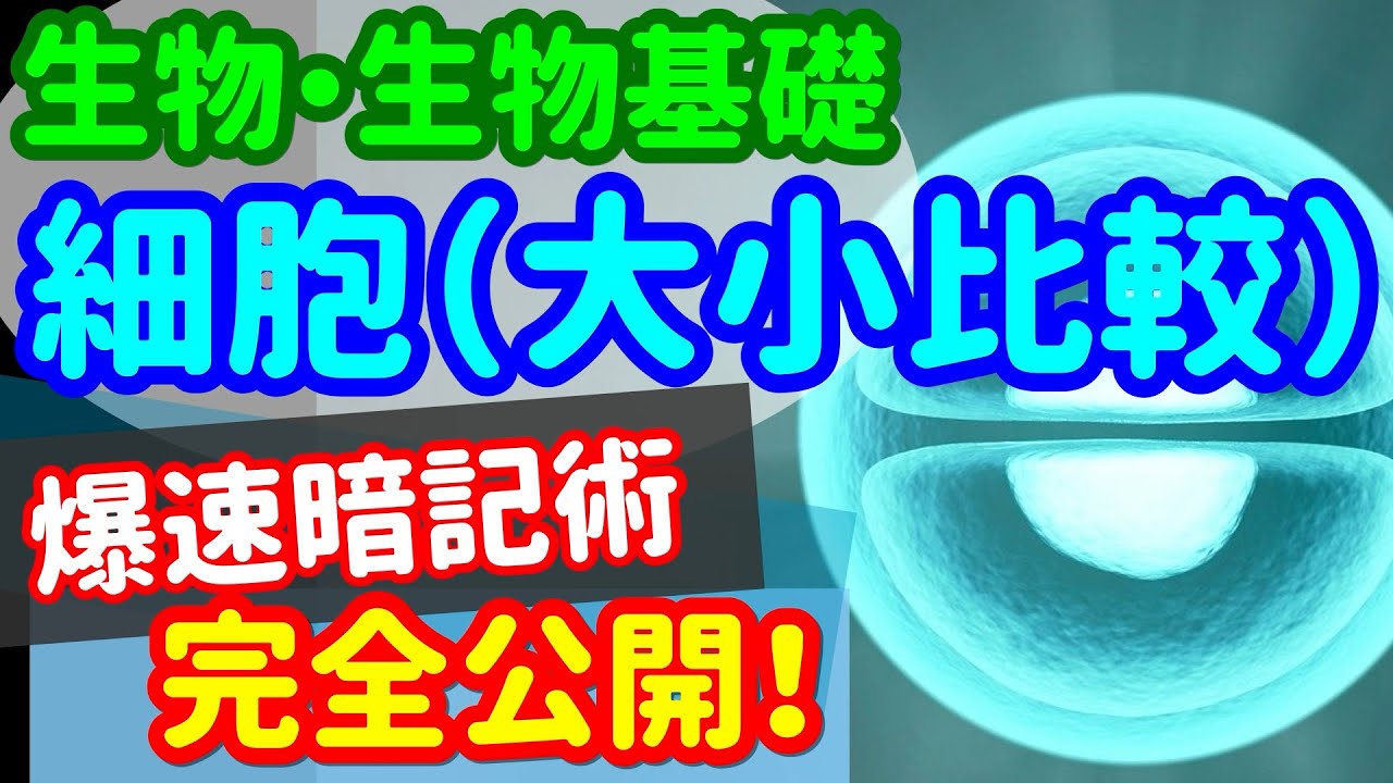 【生物基礎 5】細胞【細胞の大小比較】を宇宙一わかりやすく