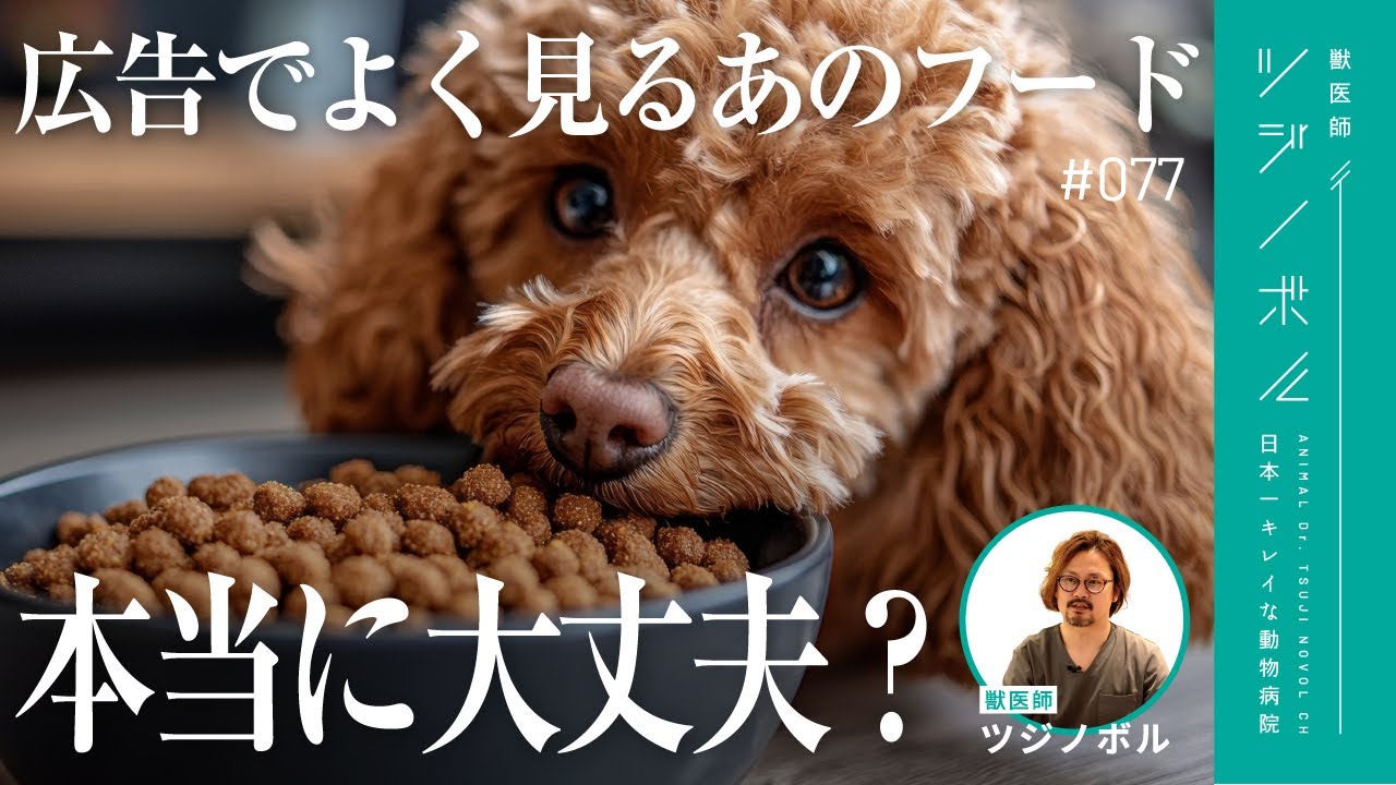 【食いつき抜群｜目元がキレイに｜無添加】それ、本当に良いフードですか？【獣医師ツジノボル】