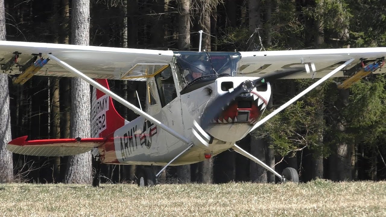Cessna L-19 Bird Dog takeoff at Airfield Rostock | N33455