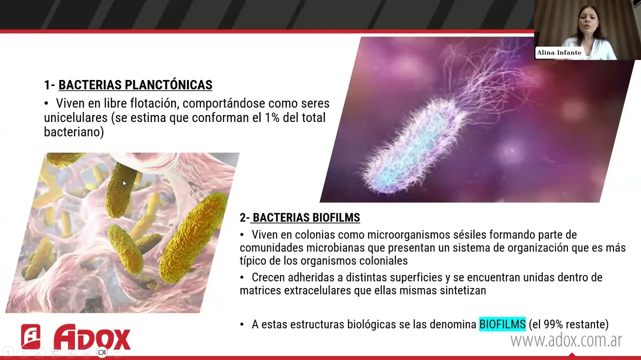Biofilms en superficies, equipos y alimentos | Webinar ADOX