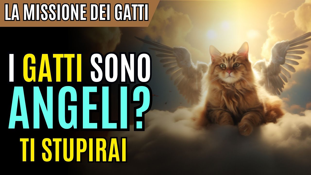 😺I GATTI SONO ANGELI MANDATI PER TE 🌟 | La Missione SPIRITUALE Dei GATTI | Perché Incontri un GATTO