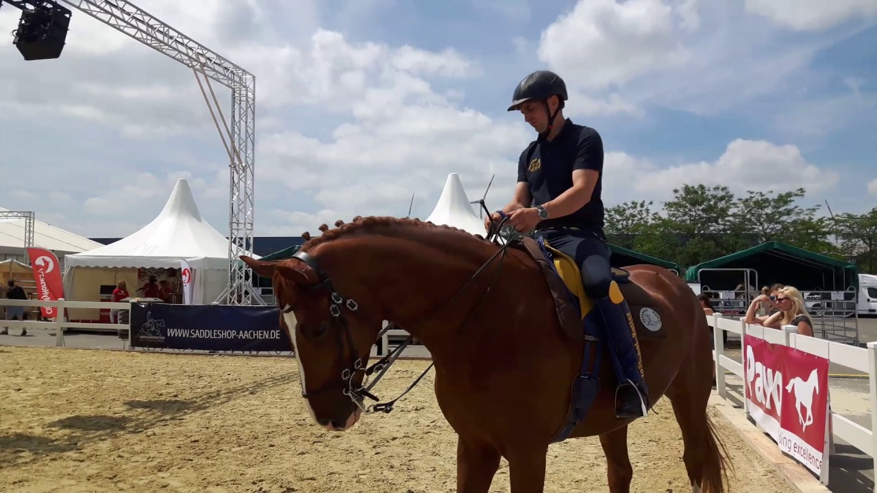 Schrittarbeit mit Ralf Döringshoff