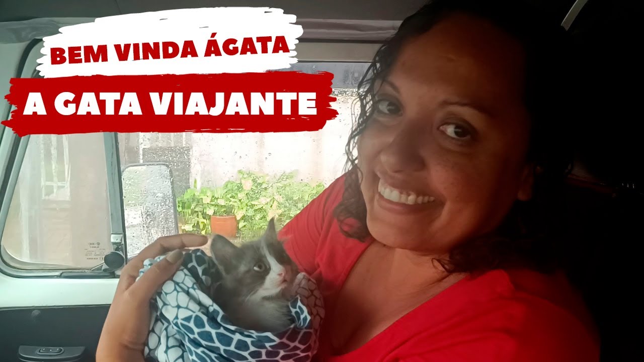 VIVENDO MOMENTOS  em CURITIBA e REGIÃO-PR | T02 EP85