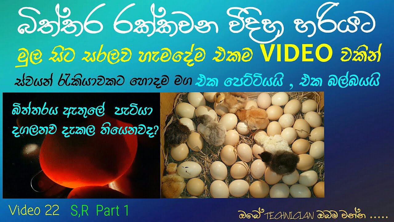 නිවැරැදිව ගම් බිත්තර රක්කවා ගන්නා ආකාරය / How to make eggs incubator machine / Home Made / Diy Bro