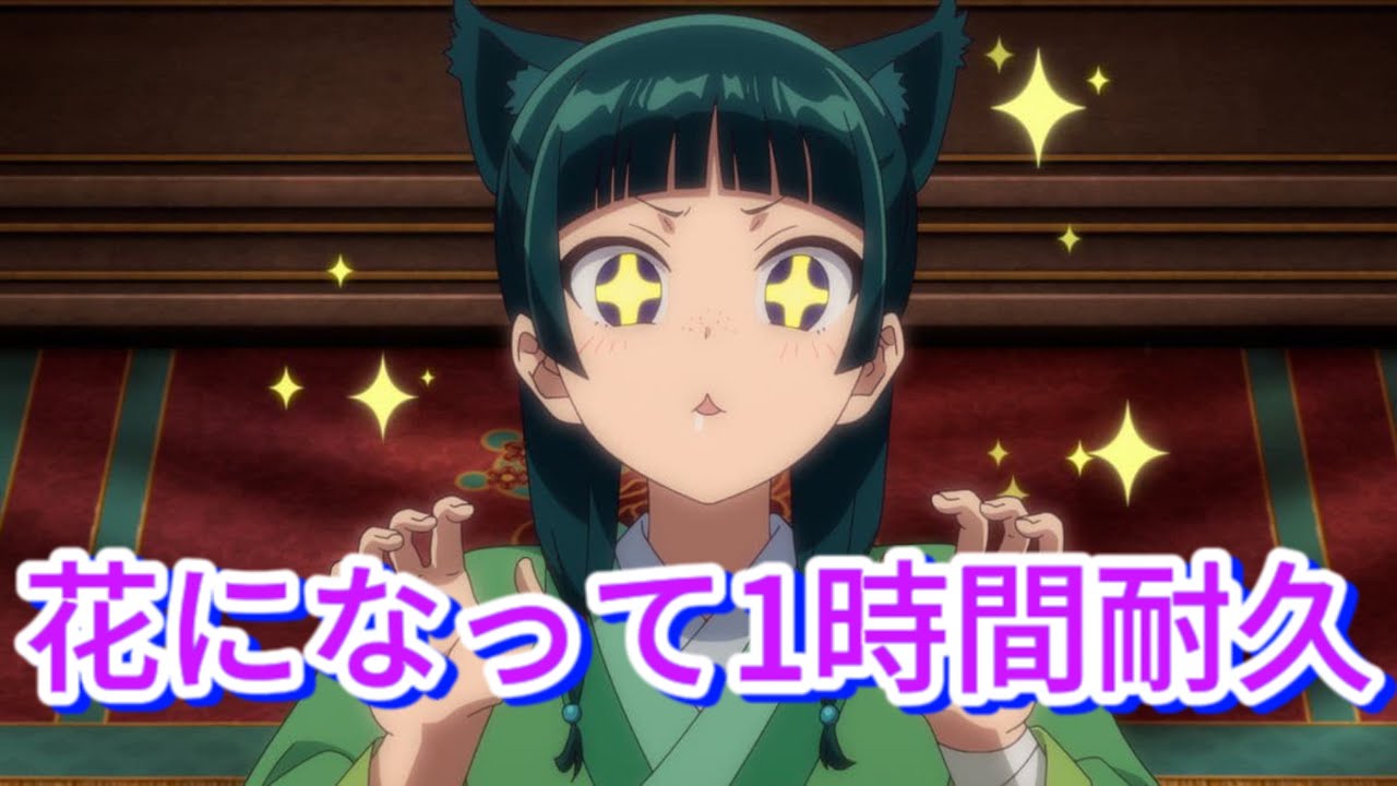 花になって1時間耐久＃花になって#楽屋のひとりごと