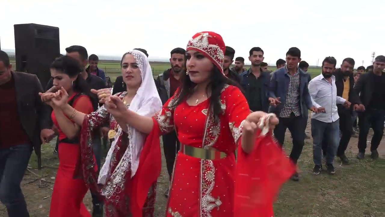 Veli SALCAN Tayyan Aşireti ( Hacı Soran Oğulları ) Düğünü - Part 2 Bedru ( Çiftlik ) Köyü SİLOPİ