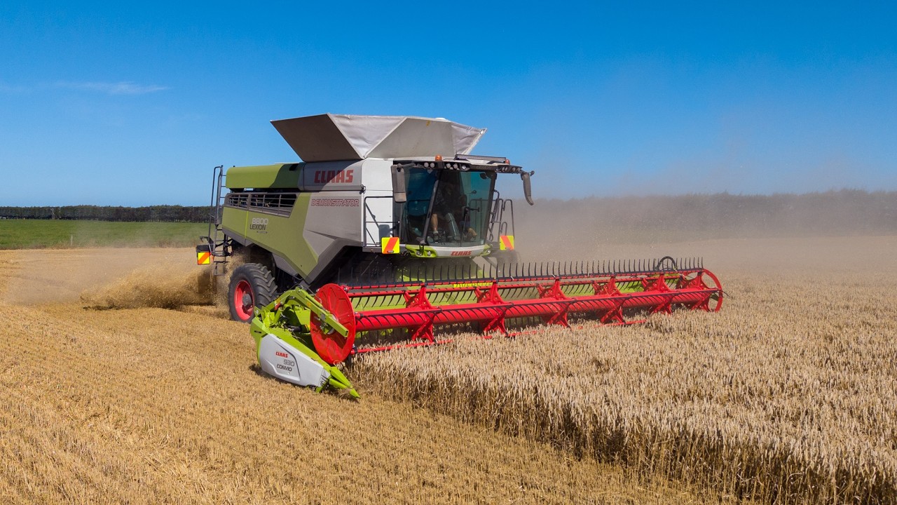 CLAAS LEXION 8800TT Harvesting Wheat