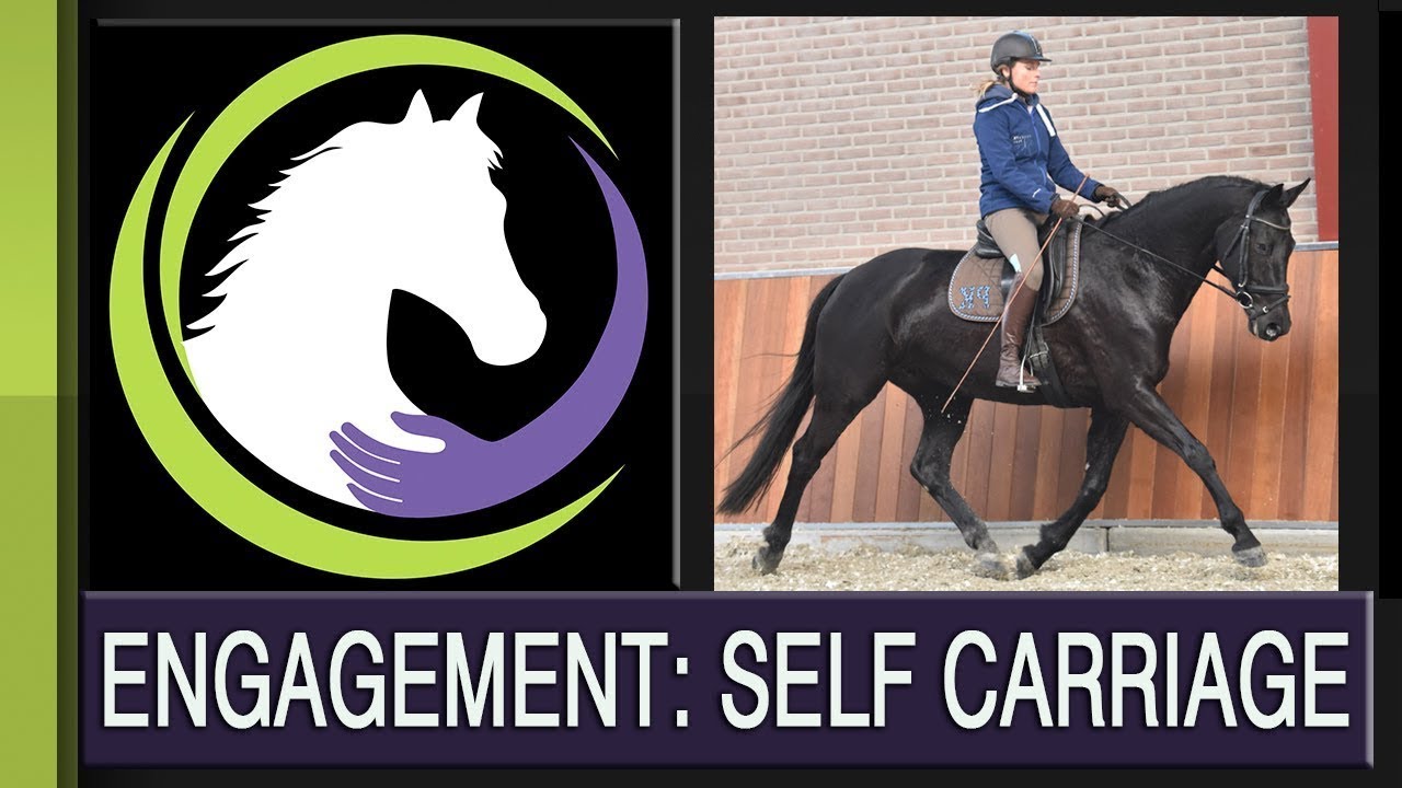 The Biomechanics of Engagement (part 2): The Essential Components of Self Carriage