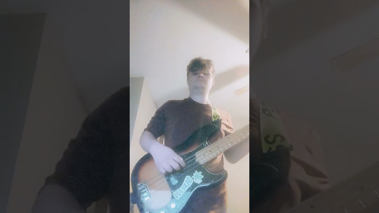 Any color you like + brain damage and eclipse (bass cover)