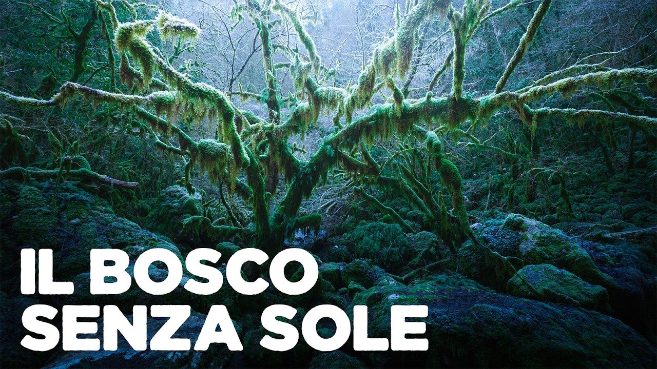 Ho inseguito queste condizioni per anni e poi...
