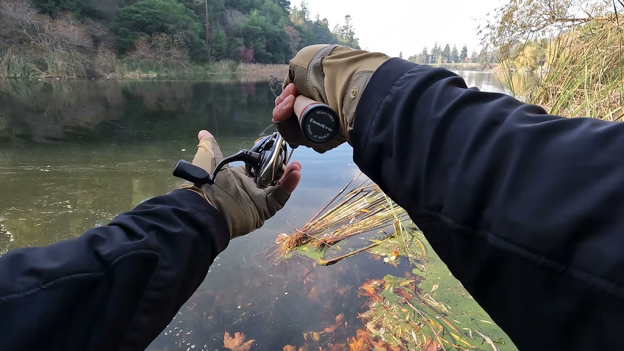 Catching trout with Micro Spoons at Lake Temescal 2021