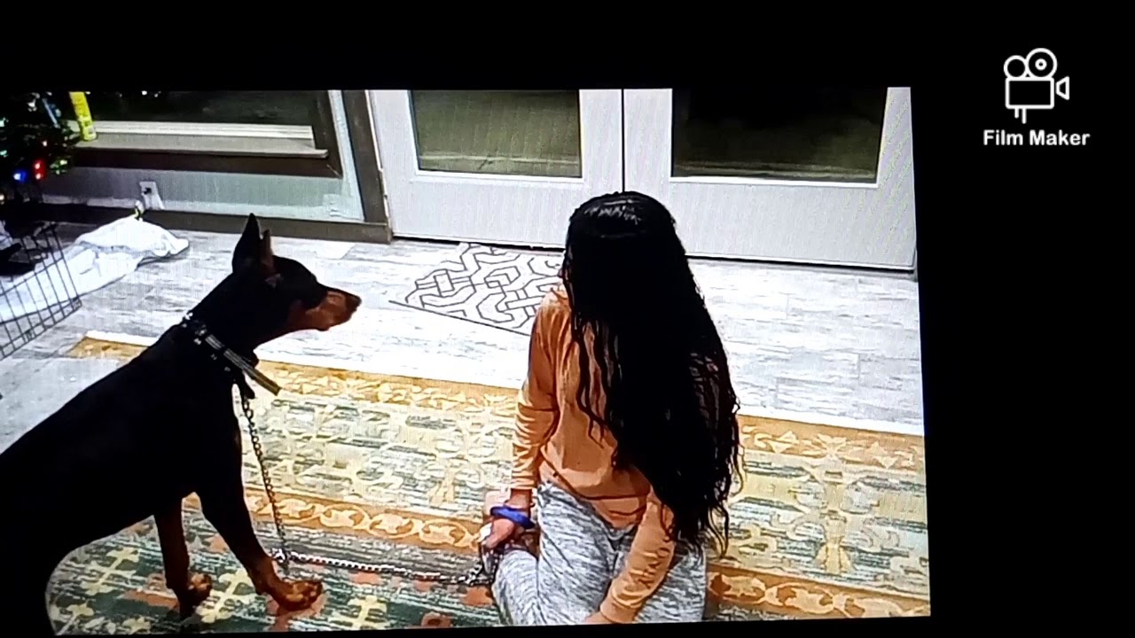 Will my DOBERMAN protect me from an intruder?