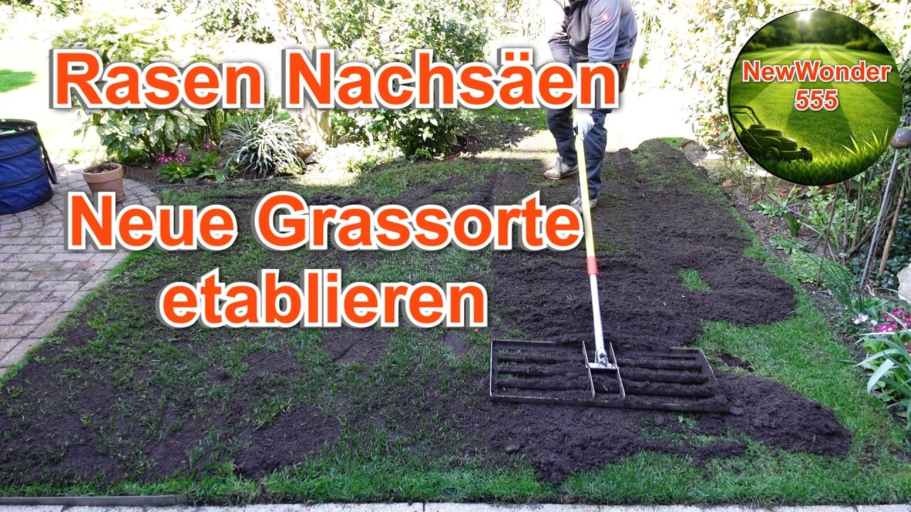 Poa Supina | Poa Annua | Deutsches Weidelgras - ja Wat den nu? Rasens&auml;en Nachs&auml;en - Newwonder555