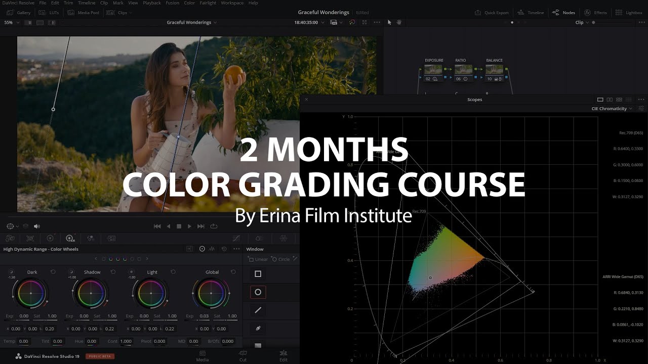 2 Months Color Grading Course by Erina Film Institute