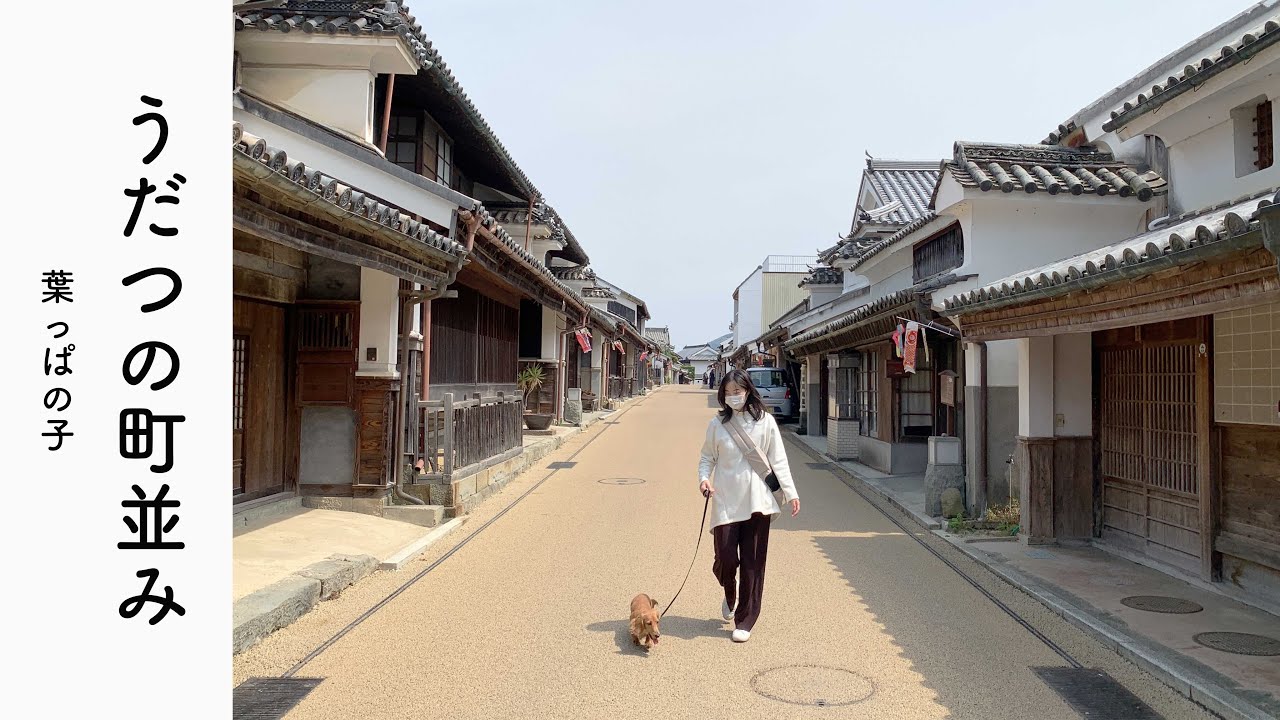 【田舎探しVlog】徳島のうだつの上がった町並みに行ってみた