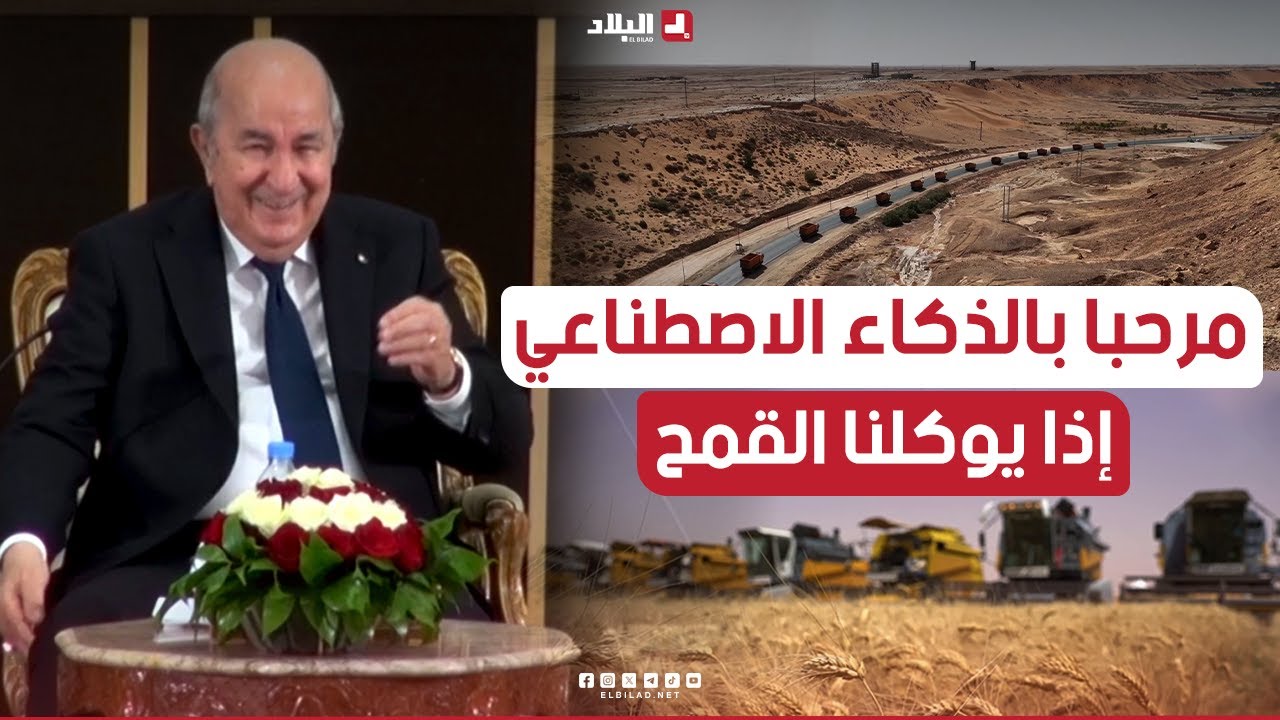 الرئيس تبون يرد: اتهمونا باستخدام الذكاء الاصطناعي.. إذا كان هذا الذكاء يوكلنا القمح مرحبا به..