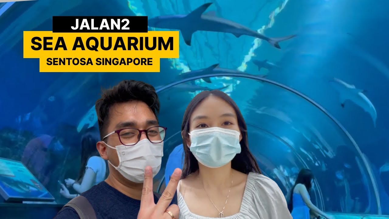 JALAN KE SEA AQUARIUM SINGAPORE