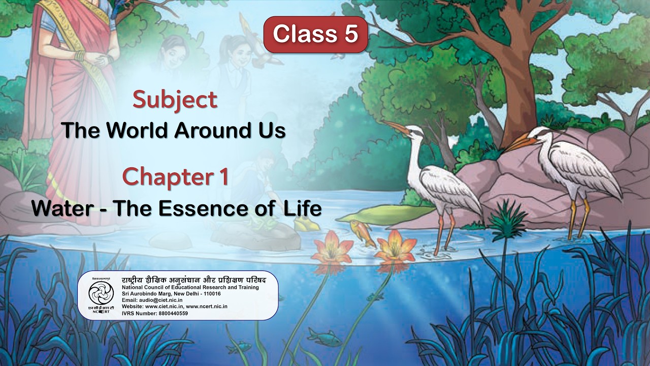 NCERT_Вода: Сущность жизни_Лекция, 5 класс, предмет: TWAU