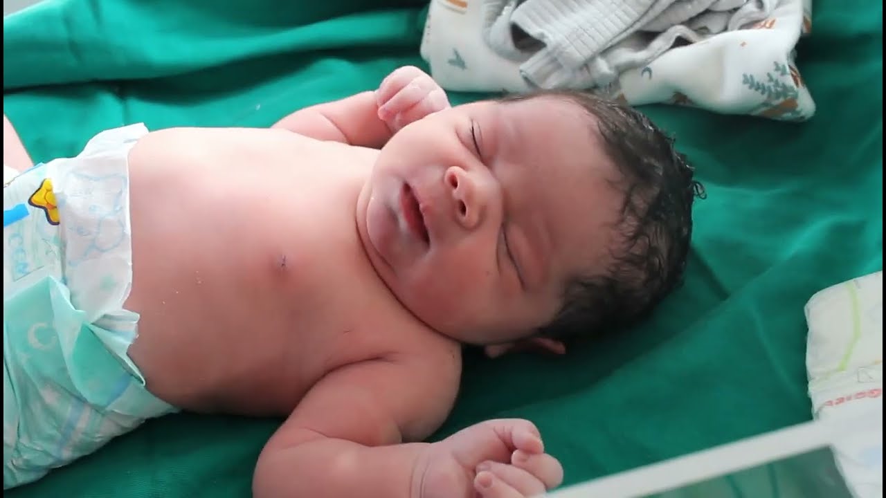Chegada da Maria Clara - Maternidade Sofia Feldman