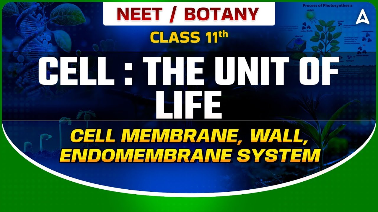 CELL THE UNIT OF LIFE CLASS 11 | CELL MEMBRANE, WALL, ENDOMEMBRANE SYSTEM | NEET SANJEEVANI BATCH