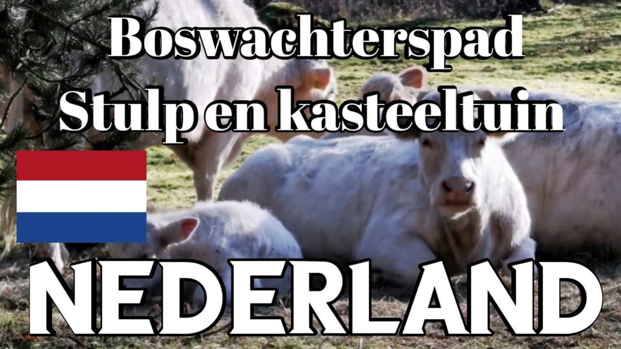 NEDERLAND Boswachterspad Stulp en kasteel tuin in Lage Vuursche 5 km