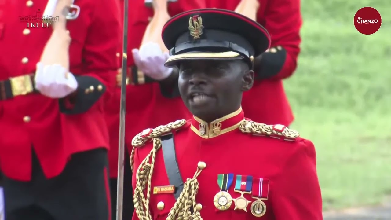 Mapokezi Mazito ya Rais wa Msumbiji; Angalia Mizinga Ikipigwa