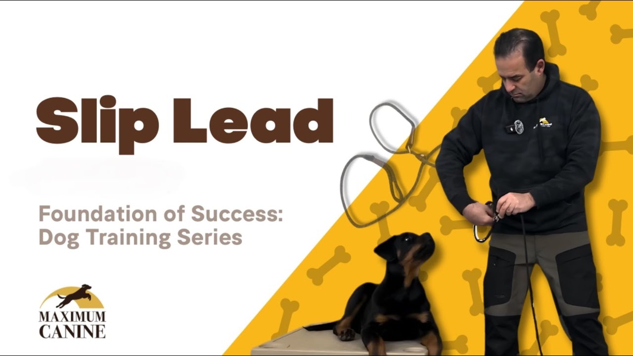 How to Use a Slip Lead