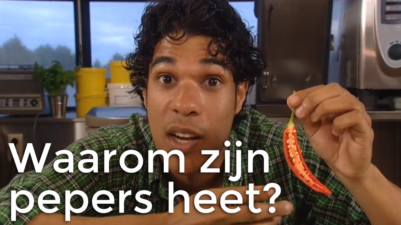 Waarom zijn pepers heet? | Vragen van Kinderen